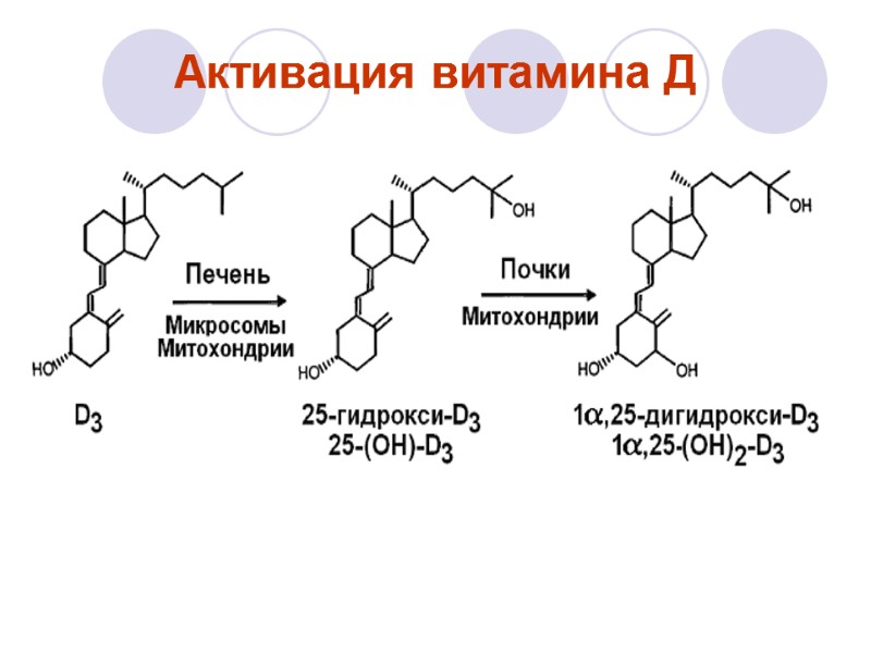 Активация витамина Д